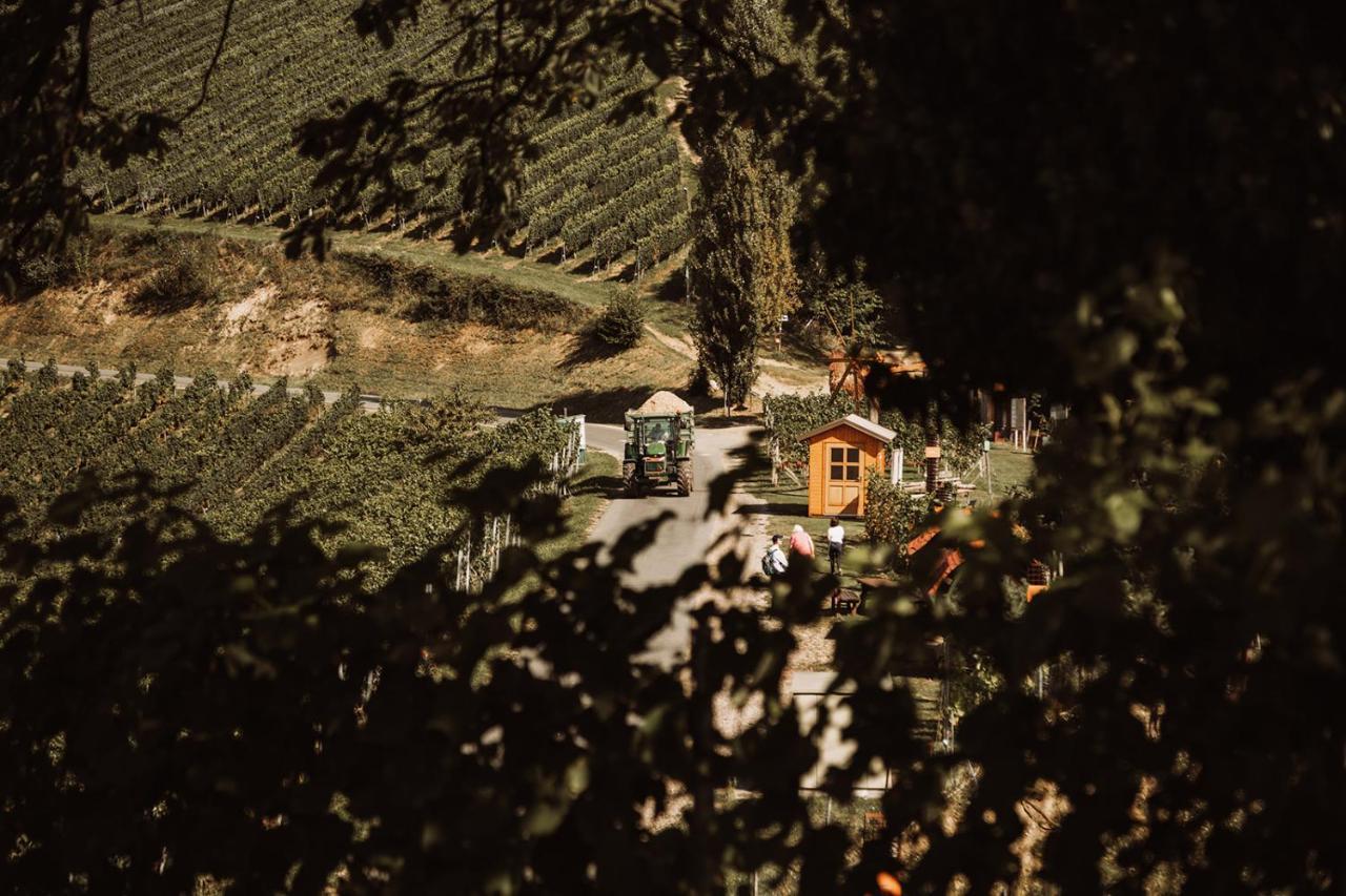 Weingut Kollerhof Am Eichberg Villa Leutschach Exterior photo